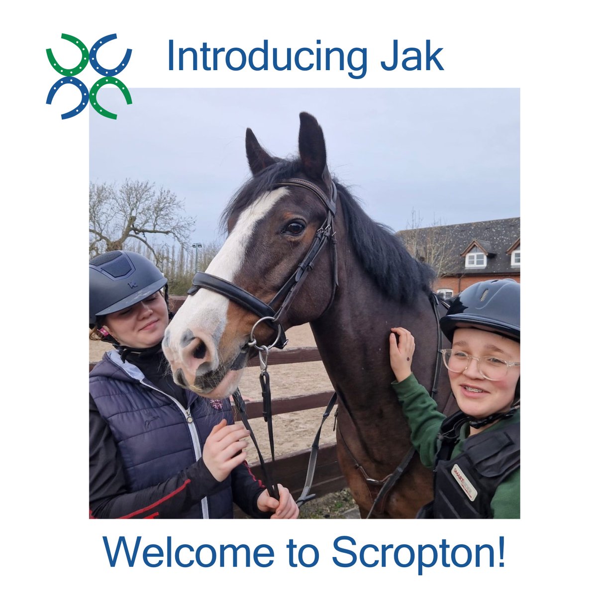 ScroptonHC's tweet photo. We're delighted that Jak has joined our team here at Scropton. He's already getting used to life on our yard and has started to be ridden in some lessons 🐴🎉🤩
#horseshelpinghumans
#ridingforthedisabled
#thankyouneighs https://t.co/a6IZcU64N2