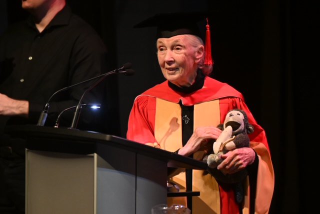 York University is proud to award an honorary degree to Jane Goodall, who for nearly 60 years has completed groundbreaking work in protecting chimpanzees from extinction and redefined species conservation. Welcome to the York University community, Dr. Goodall! #JaneGoodall 🎓👏