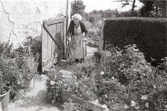 Queenie Knight in her garden, near Black Torrington, 1981. Photograph by James Ravilious (Beaford Arts) #Devon #ruralhistory 🏴󠁧󠁢󠁥󠁮󠁧󠁿