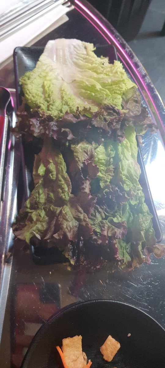 Almuerzo de celebracion con <a href="/SerganIkari/">Sergan</a> y ya le trajieron su lechuga 🥬🥬🥬