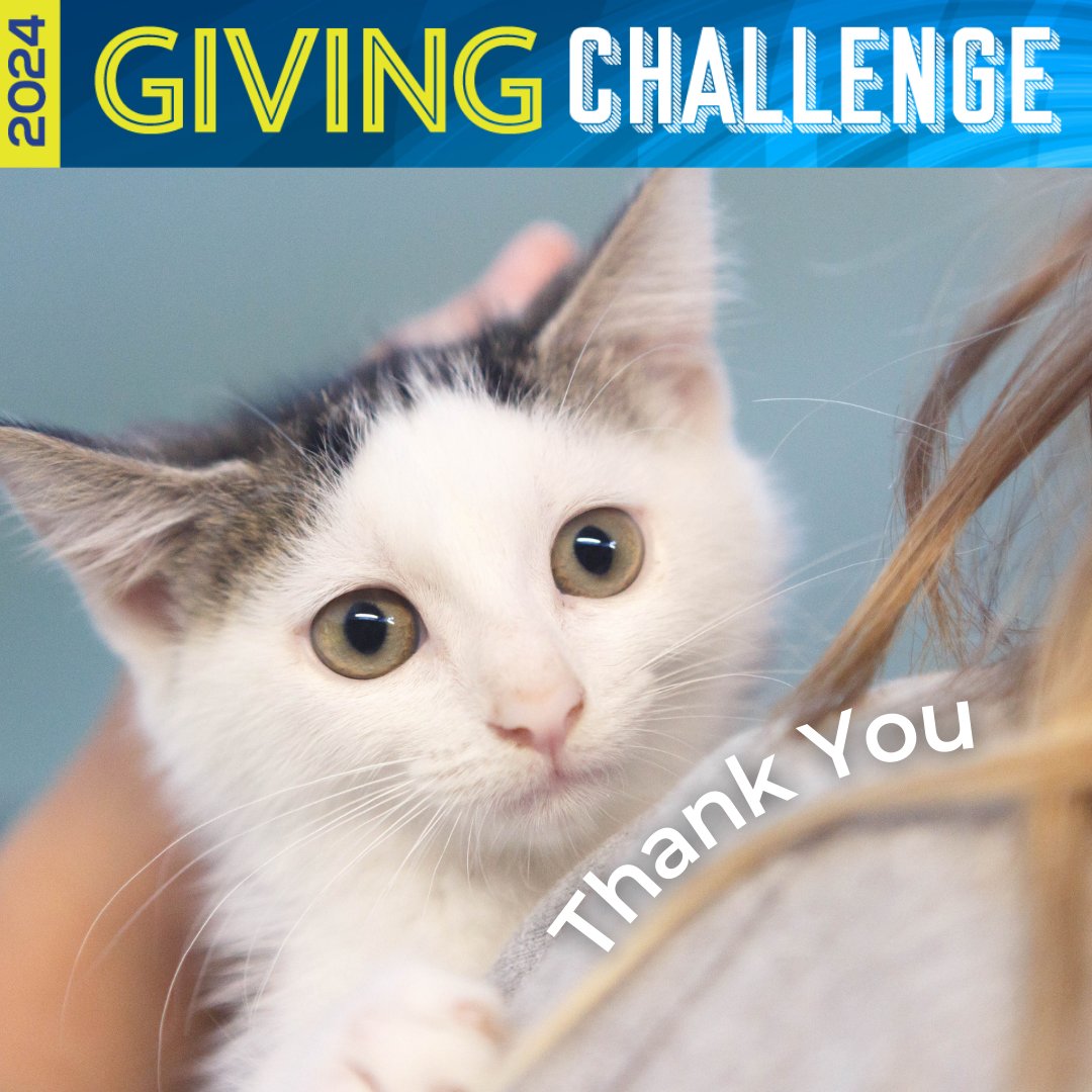 Thank you to Nancy D. for your generous donation in support of #givingchallenge2024 Your support will help Cat Depot save more lives! 📷📷 The 2024 Giving Challenge is presented by the Community Foundation of Sarasota County with giving strengthened by The Patterson Foundation!