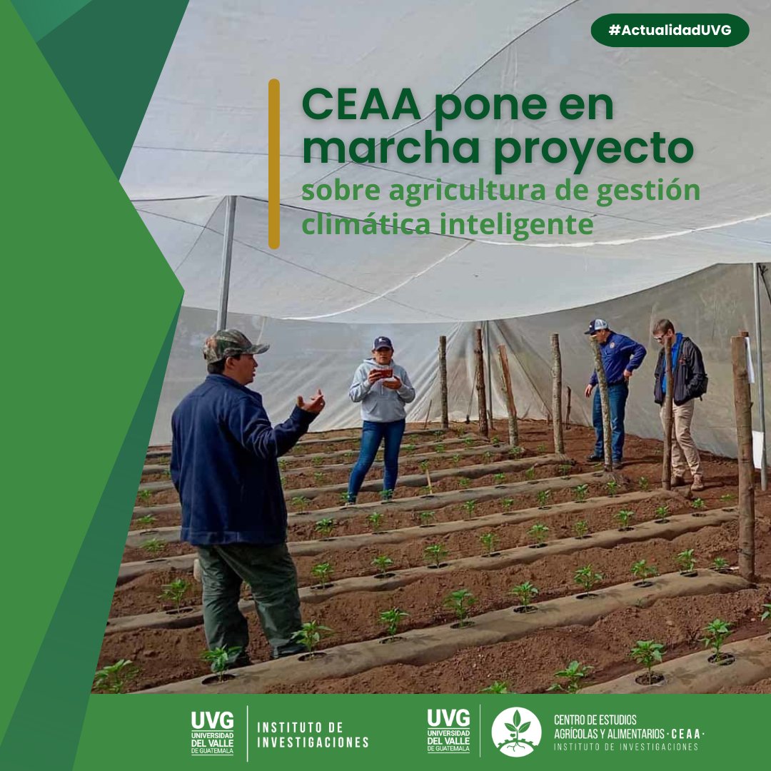 🌱El proyecto busca identificar las mejores prácticas e implementar un sistema eficiente de transferencia de tecnología y de conocimientos para garantizar la sostenibilidad del sector hortofrutícola del altiplano de Guatemala. 🔗Lee aquí: noticias.uvg.edu.gt/ceaa-uvg-pone-… #ActualidadUVG