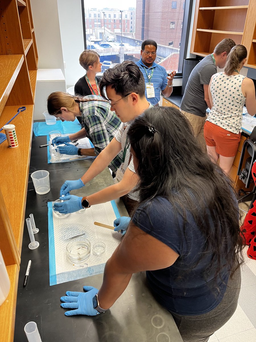 zfishUAB's tweet photo. ZEBRAFISH HUSBANDRY MEETING THIS JULY! Sign up now! 🐟🐟 https://t.co/KjazmOFN9v