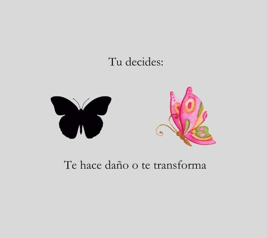 Consciencia1111's tweet photo. https://t.co/VvcHfPiLWo