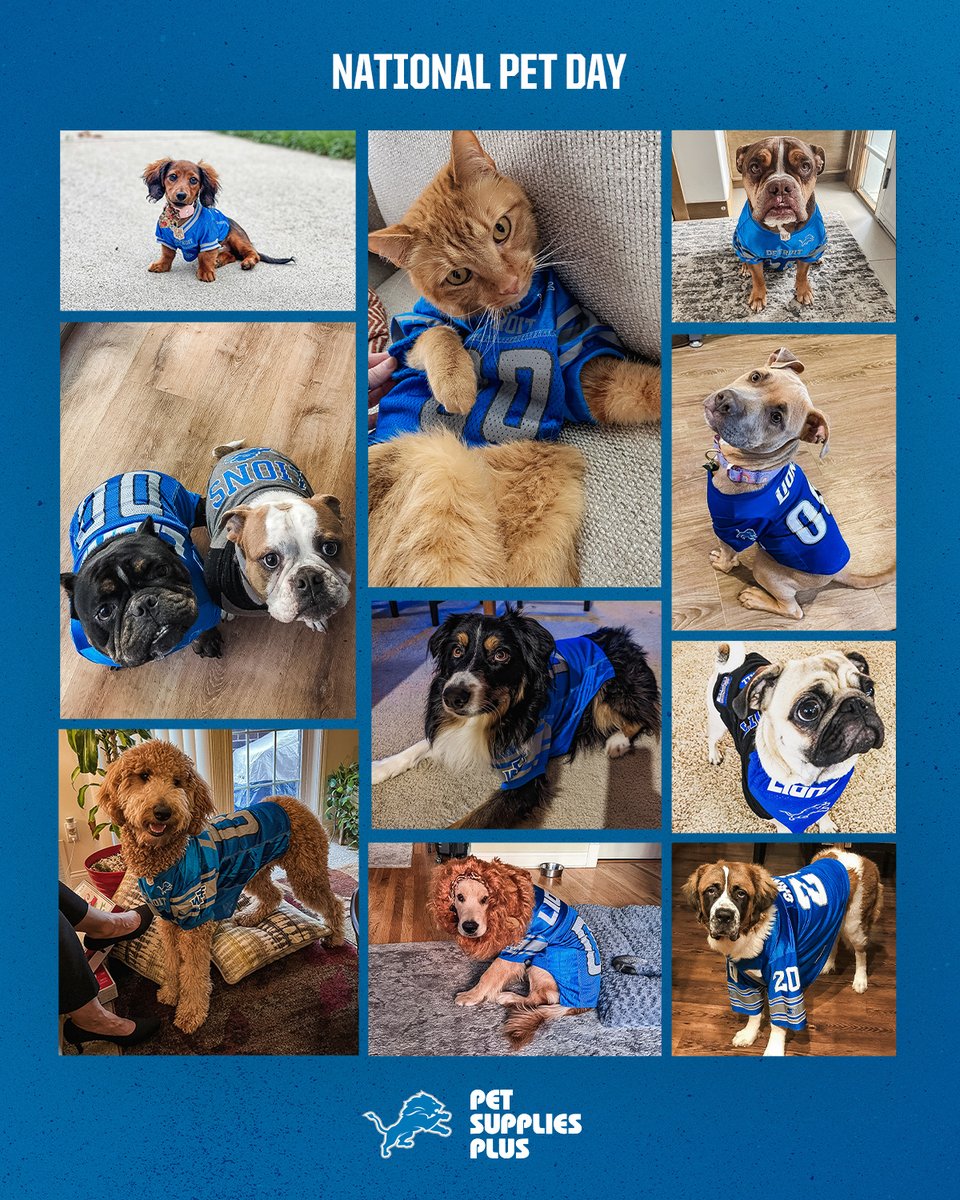 Detroit Lions tweet media