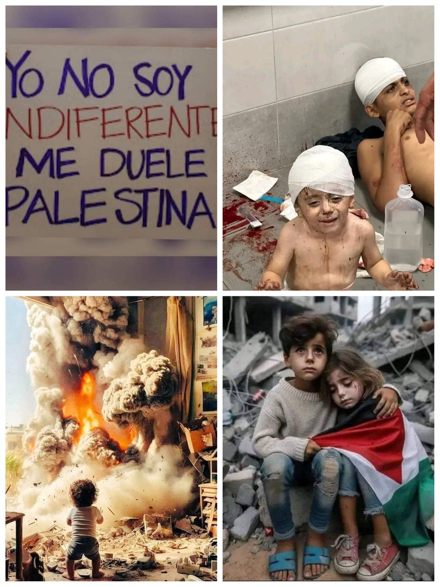 🔔🔔🔔Toda esta crueldad sufre el pueblo palestino, hasta cuándo va a durar este cruel genocidio??... hasta cuándo van a perecer tantos inocentes?? 📢Basta YAAAAA de tanta indiferencia‼️ #FreePalestine #DeZurdaTeam