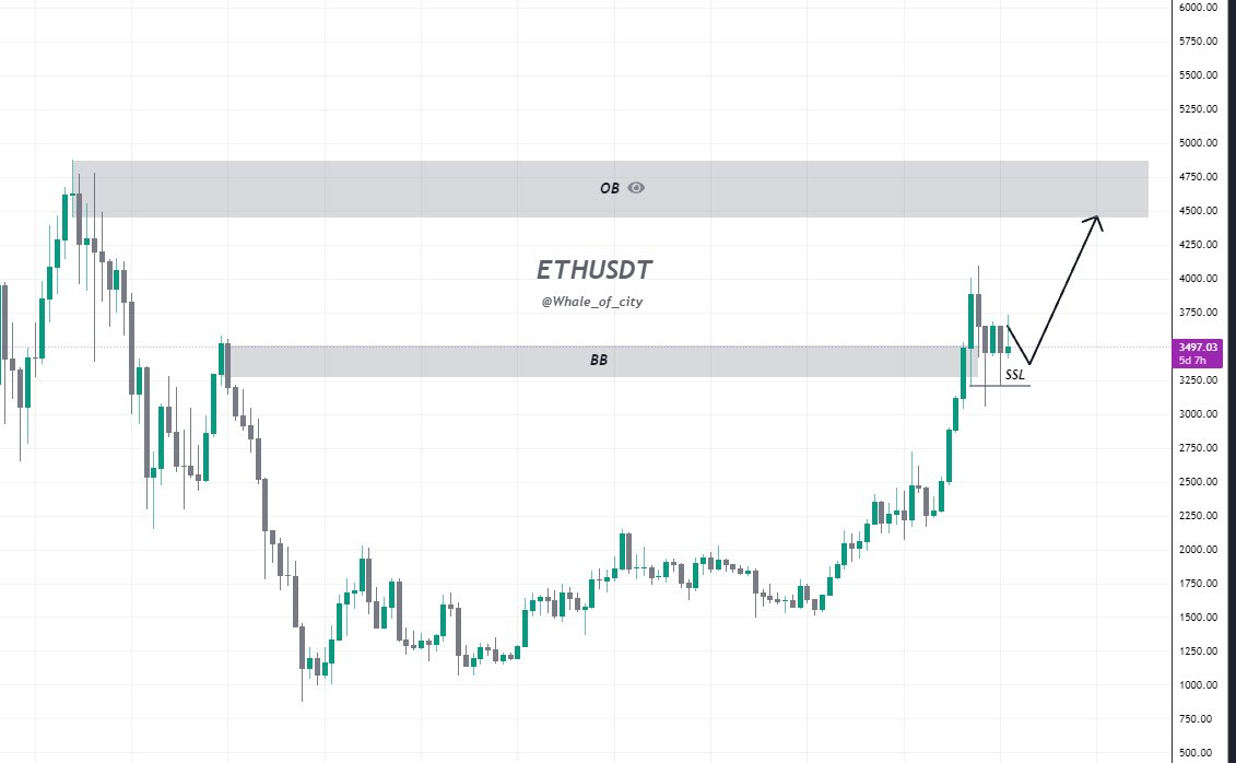 ᴡʜᴀʟᴇ ᴏғ ᴄɪᴛʏ 🐳 tweet media