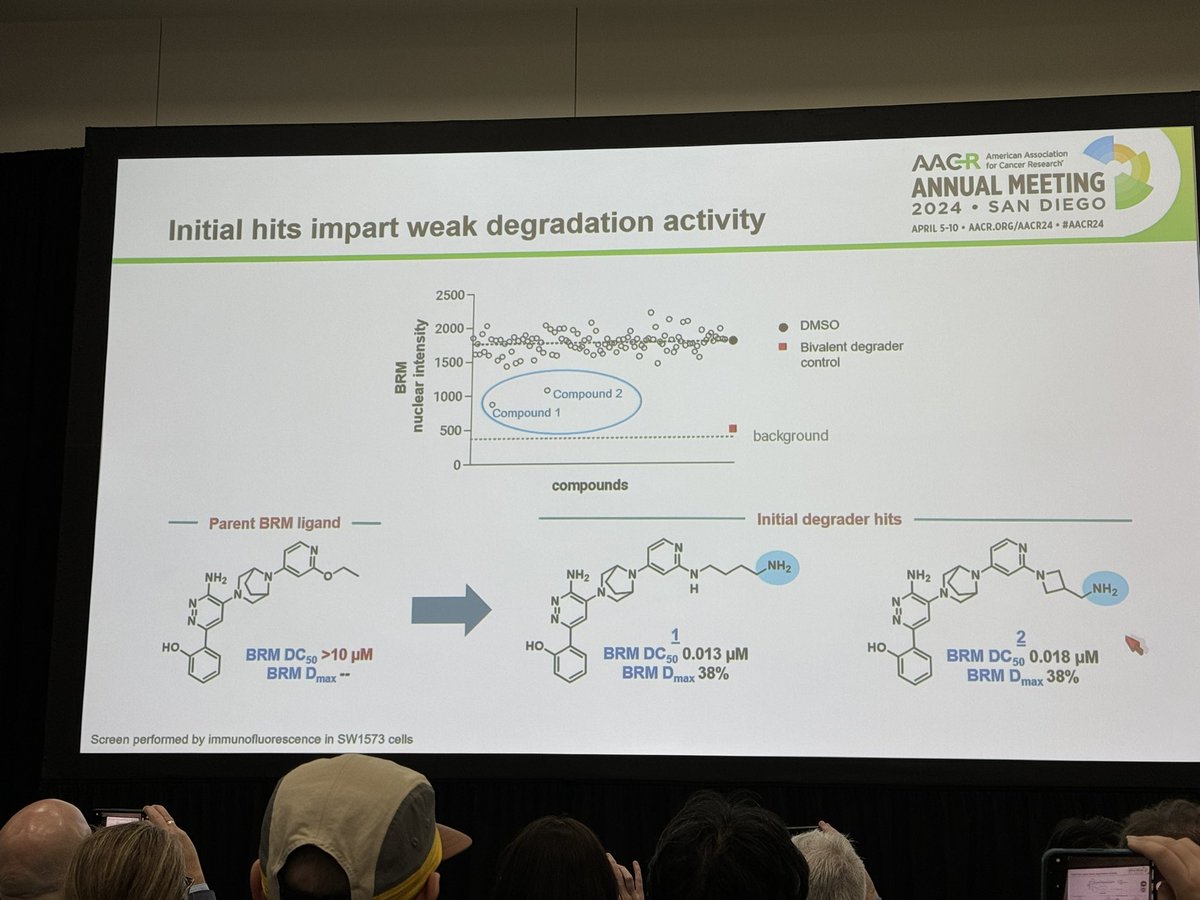 HartungIngo's tweet photo. Fantastic talk by Elisia Villemure @genentech on how to turn BRM/BRG (SMARCA2/4) bromodomain inhibitors into monovalent degraders by generating &amp; screening a small library of derivatives. This time it’s not DCAF16 doing the job but E3 ligase FBXO22 (CRL1 complex) #AACR24 #TPD https://t.co/Of7fLA2p4r