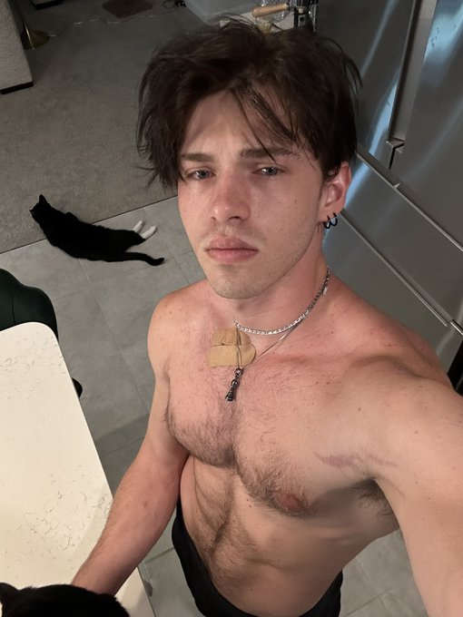 Cat cafe https://t.co/ROirV6kLg8