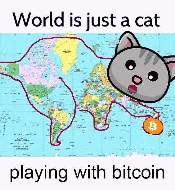 Watch as the world becomes a playground for the ultimate game of cat and mouse – or should we say, cat and #Bitcoin