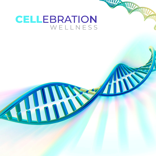 cellwellness's tweet photo. Epithelial stem cells maintain tissues throughout adult life and are tightly regulated by their microenvironmental niche to balance cell production and loss. 

Learn more interesting facts and why this can be a beneficial treatment for you below. 

https://t.co/j8ikfPrOT0 https://t.co/zA0UyKc2CK