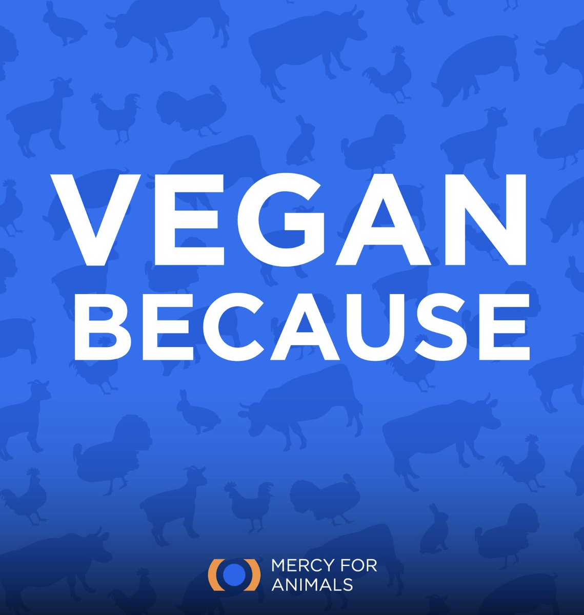 What's your reason for eating vegan? 🌱🤔