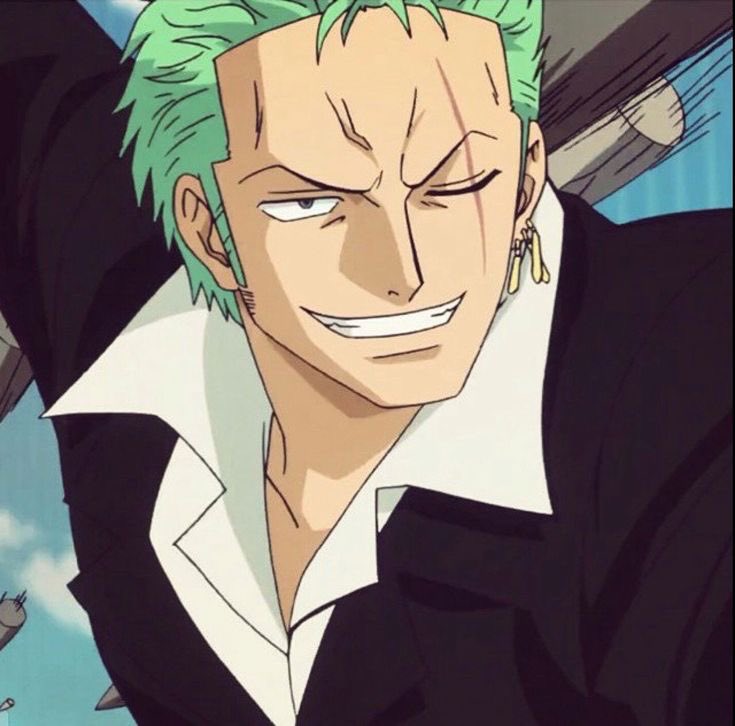 Zoro Daily tweet media