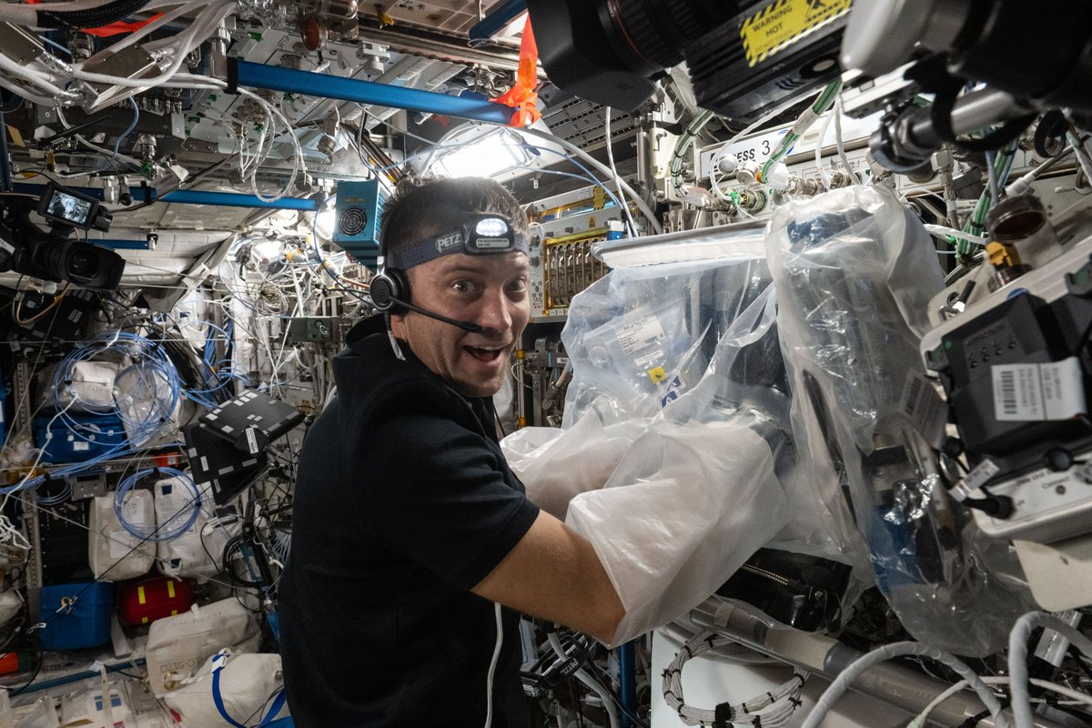 Exciting science on @SpaceStation! 😃 NASA Astronaut @DominickMatthew conducted maintenance on the BioFabrication Facility. Bioprinting tissues in microgravity could be a step toward manufacturing whole organs. Learn more about bioprinting on station: go.nasa.gov/3RPBRNP