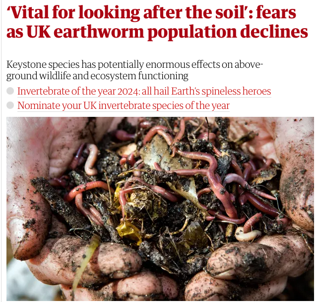 aeberman12's tweet photo. "Earthworm populations in the UK...declined by a third over the past 25 years.

"Healthy worm populations are crucial for entire ecosystems...There are 37% fewer woodland birds in British woods compared with 1970, with declines accelerating in the past five years."
https://t.co/FydK4IVeMr
#energy #EnergyTransition #ClimateActionNow #renewables #NetZero #FossilFuels