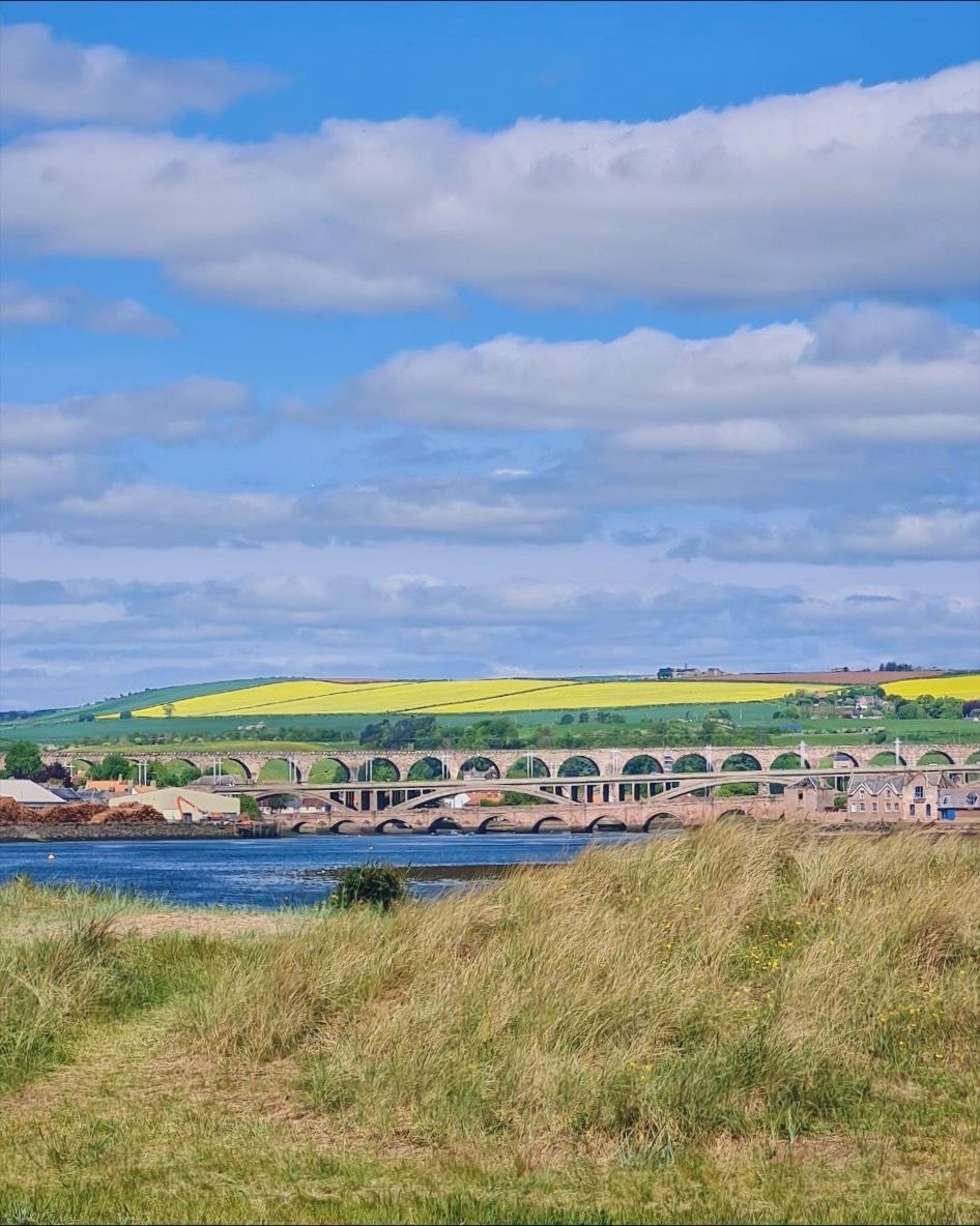 🌉 Not just any bridge! This is the Royal Border Bridge, one of the finest viaducts in the world! Opened by Queen Victoria and has no fewer than 2️⃣8️⃣ arches! 

📍Sadly it doesn't  actually link England and Scotland (the border is 3 miles further north).