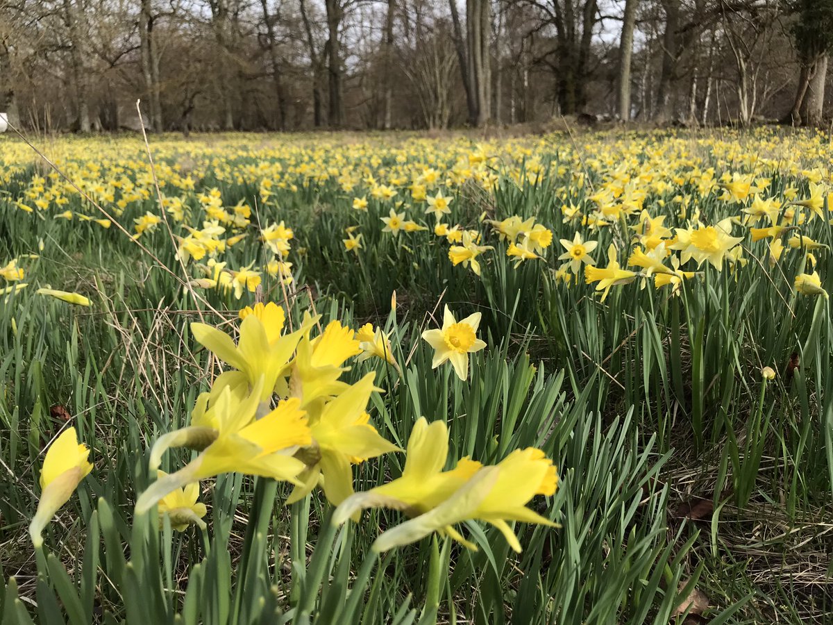 Helena Ullmark @helenaullmark.bsky tweet media