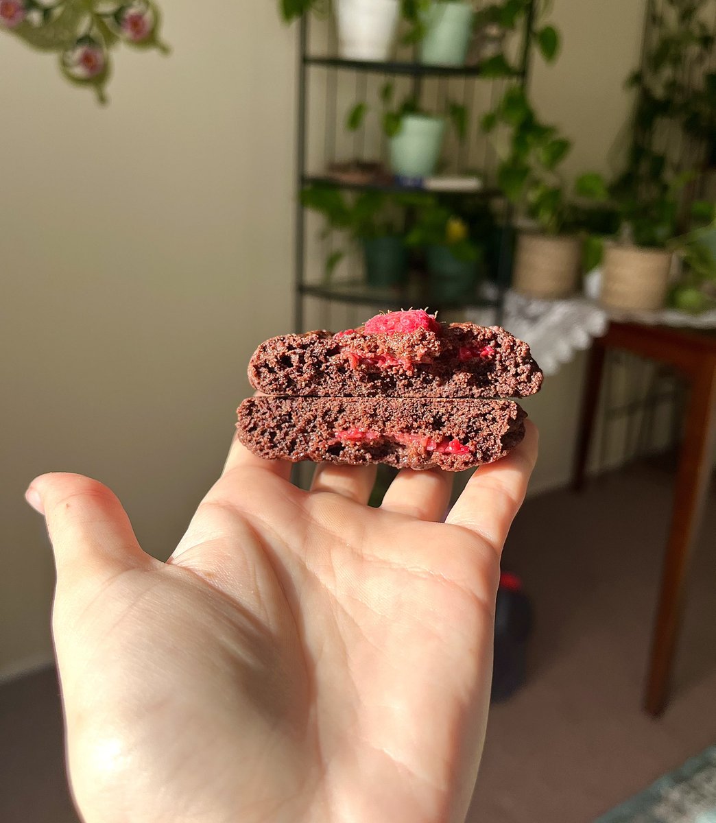 Celestialpapaya's tweet image. raspberry chocolate cacao cookies on my website now 

🌷handmade from scratch 
🌷soft and chewy cookies
🌷sweet but not too sweet, very rich cacao flavour 
🌷made to order so everything is fresh