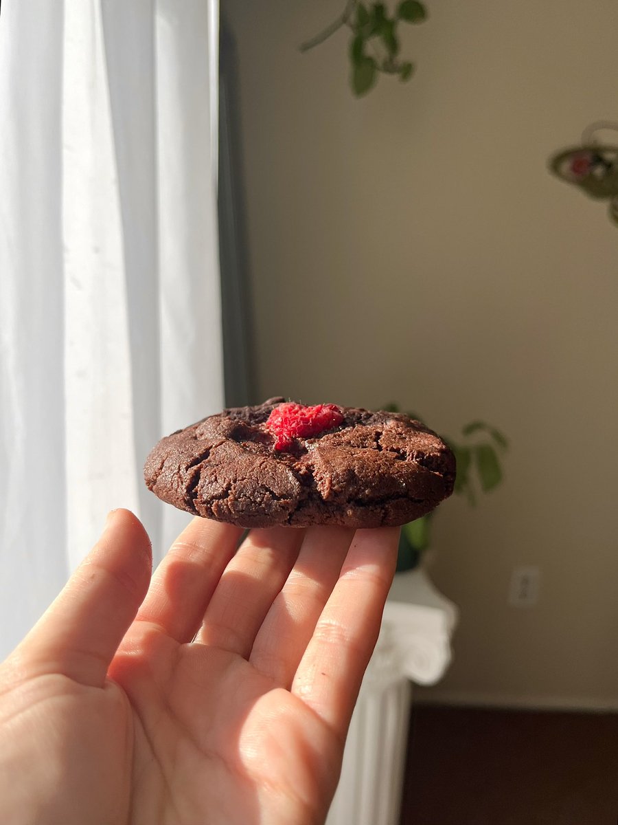 Celestialpapaya's tweet image. raspberry chocolate cacao cookies on my website now 

🌷handmade from scratch 
🌷soft and chewy cookies
🌷sweet but not too sweet, very rich cacao flavour 
🌷made to order so everything is fresh
