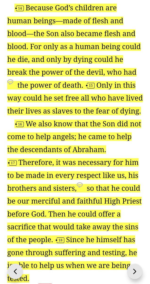 Zode™ ⭐ tweet media