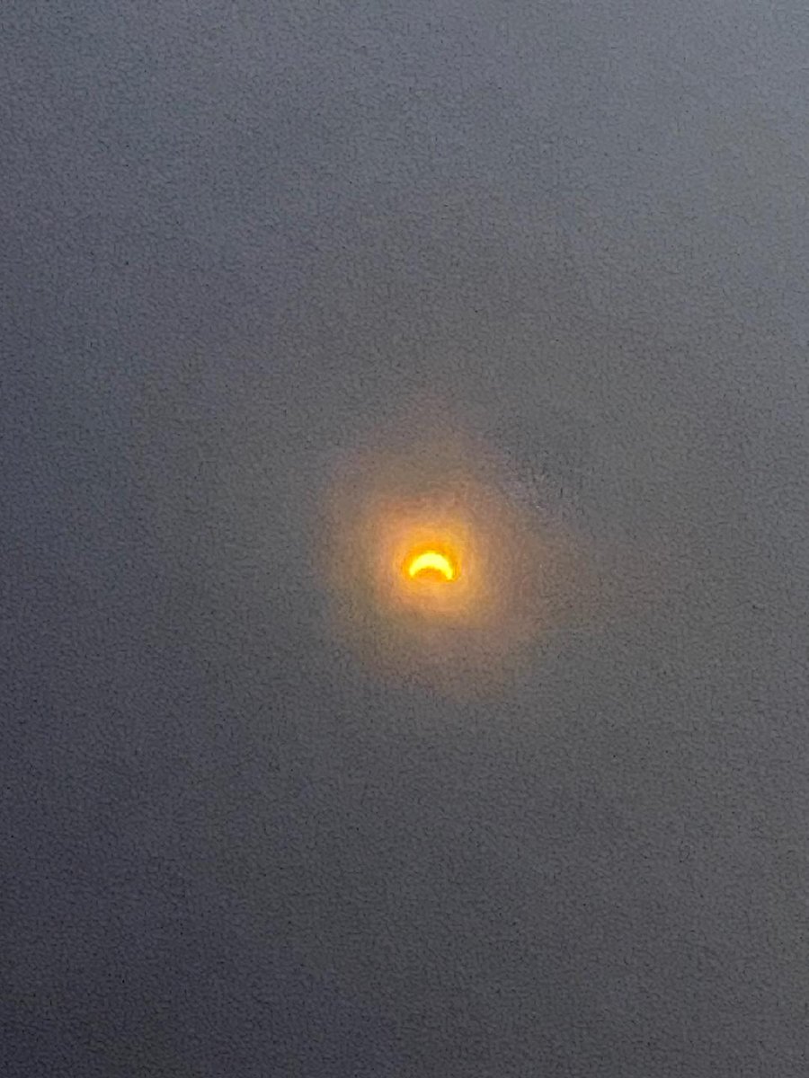 View of the solar eclipse from Bedford Park.