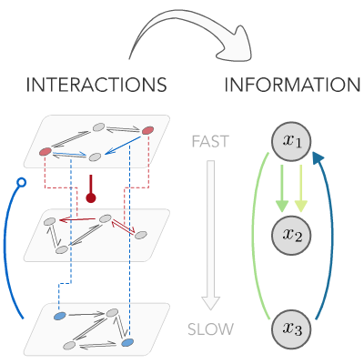 A novel theoretical framework unravels how processes in complex systems that occur at different timescales are coupled together at the functional level by sharing information. Read go.aps.org/3VUUxOy @gnicoletti09 @dbusiello1 #openaccess #PRXcomplex #PRXjustpublished
