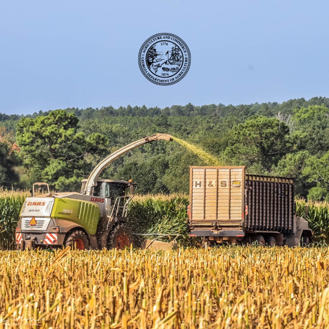 #Agriculture is the backbone of our state thanks to the resilience and innovation of #Georgia farmers and their communities! #georgiagrown #gda150