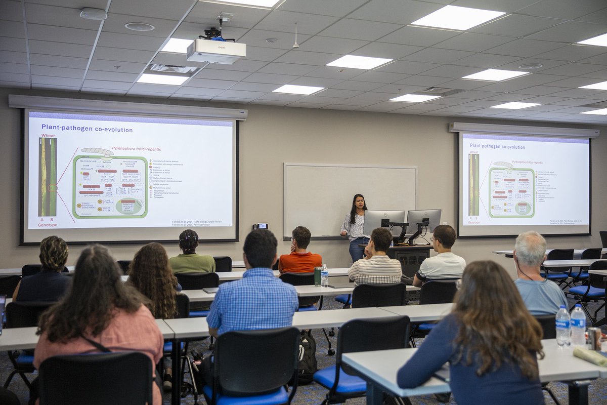 Last week, I had the honor of presenting a seminar to the @UFPlantPath on the pressing issue of emerging diseases in plants, particularly those impacting vegetables in South FL. I shared a snippet of our research efforts at the @EvergladesREC on #TarSpot & #FusariumWilt 🌽🥗