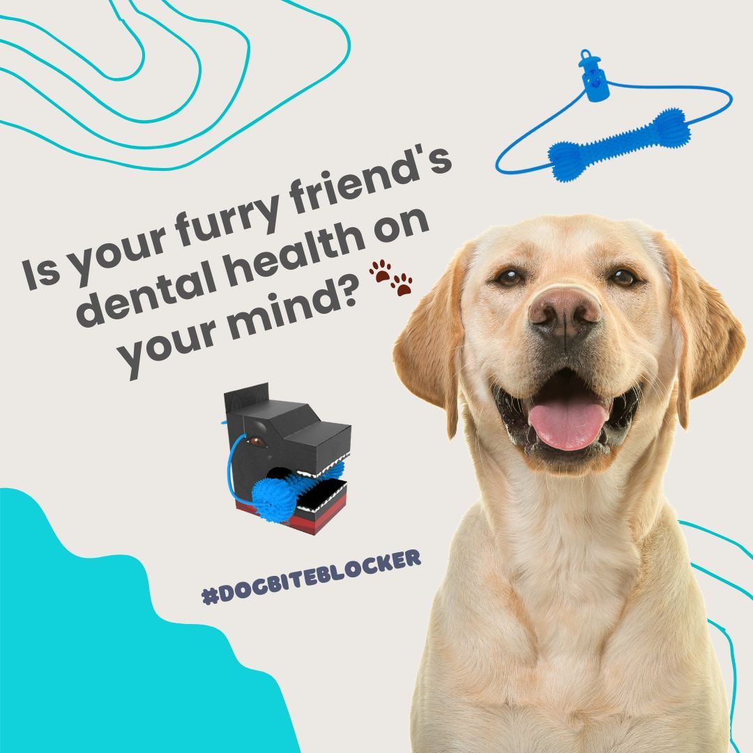 dogbiteblocker's tweet photo. Is your furry friend's dental health on your mind? 🐾 #doglover #cutedog https://t.co/cZhJiM8UK0