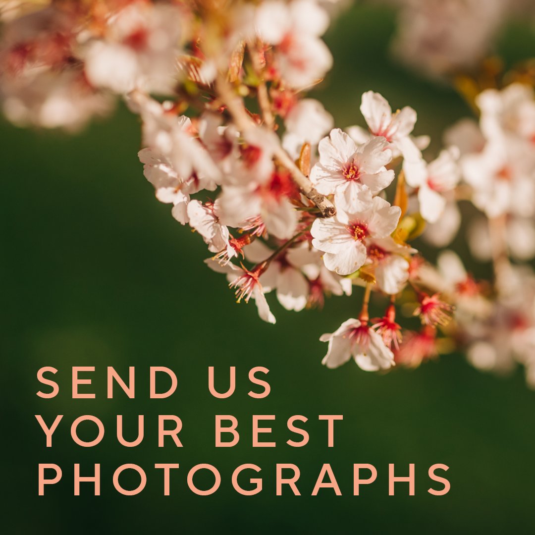 Ready, Set, Snap! 📸 We're hosting a spring photography contest - highlighting how we Create Spaces for Life 🌳 Show us your perspective on a thriving life 🦌 🌸 👫 This competition is open to all ages. Find out more, here ▶️ bit.ly/49poxp5.