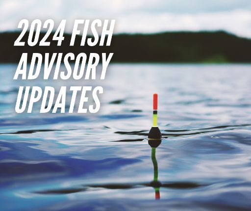 IDPH has announced updated consumption advisories for fish caught in Illinois waters. The advisories should be used as a guide to eating fish low in contaminants, which is especially important for those who are expecting and children under 15. Read more: dph.illinois.gov/fish-advisories