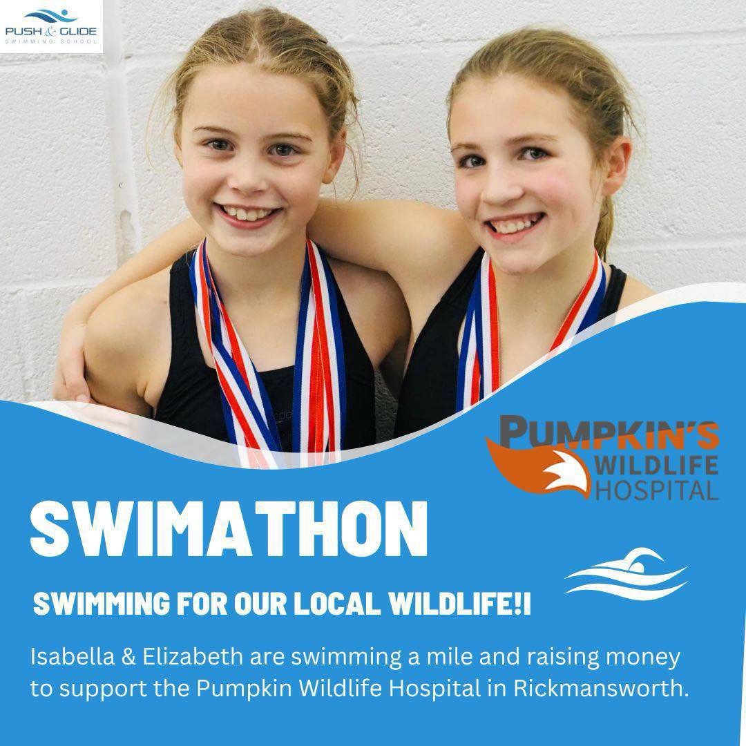 Pumpkin’s Wildlife Hospital tweet media