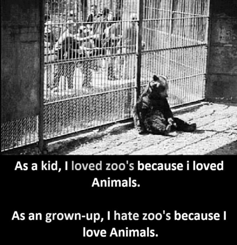 As someone who respects other #sentientbeings, these two images sum up my feelings about the #zoo.