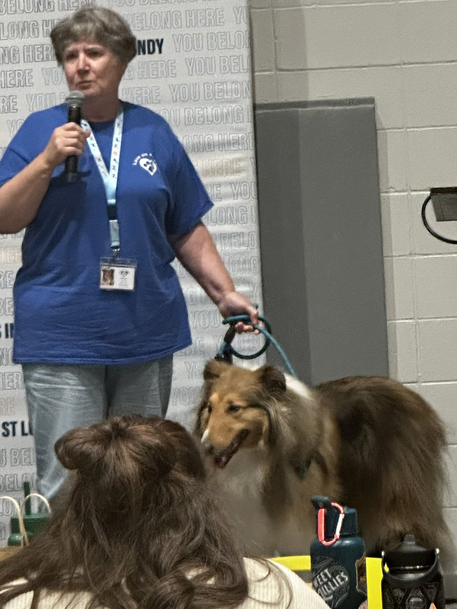 Sanders_SW's tweet photo. Loved visiting with some sweet therapy dogs at the #INSSWA Spring Seminar! @insswa https://t.co/VJo5qEEeeC