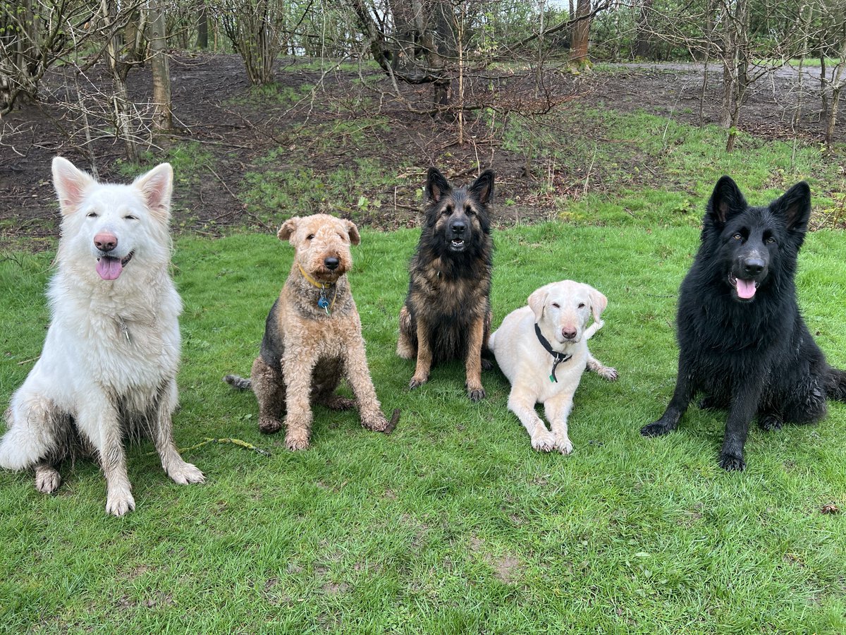 Rain, rain and more rain! Which means muddy dogs and soggy clothes 😅😅😅