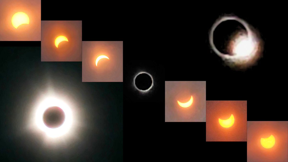 Clémence Fontanive tweet media