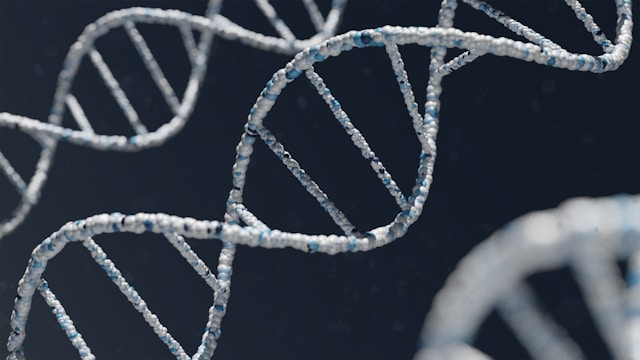 💡 Did you know? Methylation and homocysteine clearance are vital for your physical and mental health. Read our blog to learn about MTRR — a gene that connects methylation to your dietary needs: l8r.it/FzB8