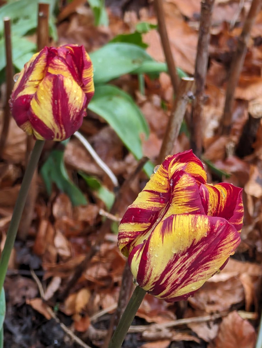 Music Matters (@lyricloungetan) on Twitter photo 