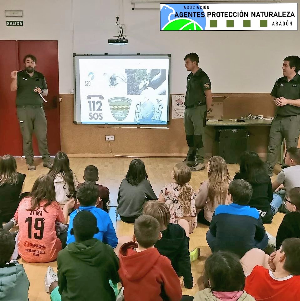 L@s #AgentesProtecciónNaturaleza nos acercamos al CEIP San José de Calasanz de Fraga (Huesca) para explicar a sus alumn@s la importancia que tienen las aves de nuestro entorno, además colocamos una caja-nido en el patio, esperamos que pronto tenga inquilinos 🐣🐣