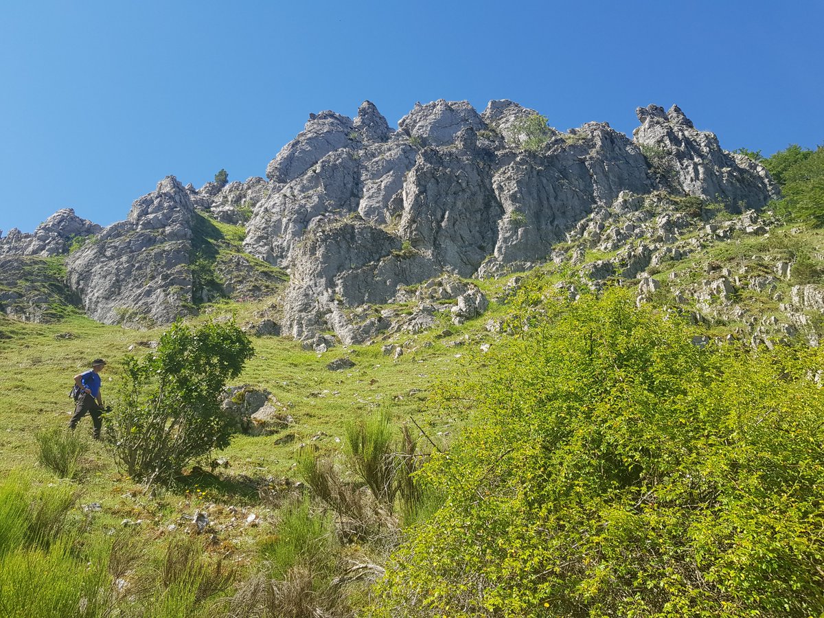 There are only 2 butterfly focused @Mariposa_Nature holidays with spaces left in 2024, both guaranteed to depart. One is the Picos de Europa in NW Spain. In 2023 I was wowed by the scenery & profusion of butterflies. So much so I'm going again as co-guide! mariposanature.com/tours/butterfl…