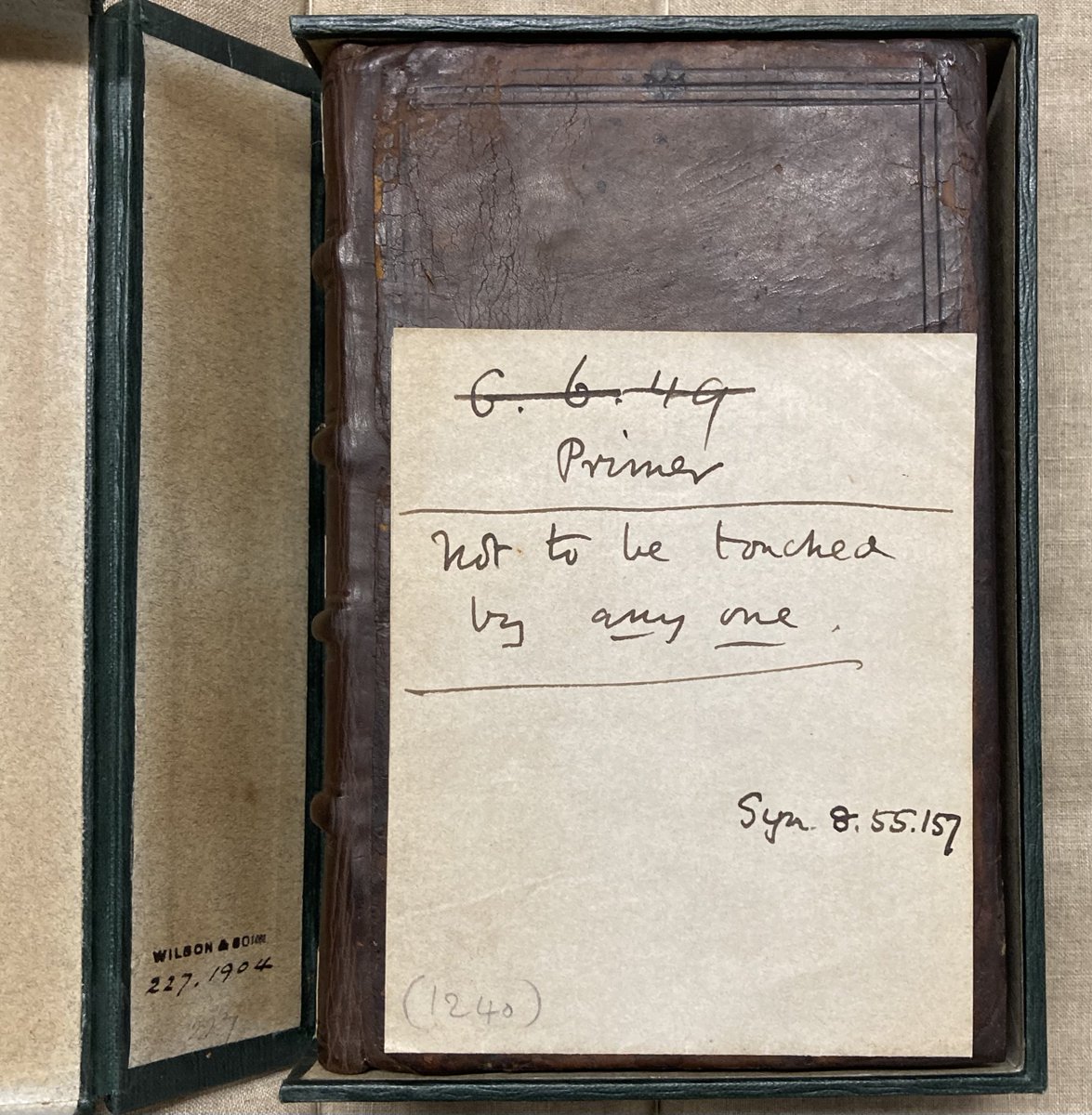 Dr Jill Whitelock tweet media