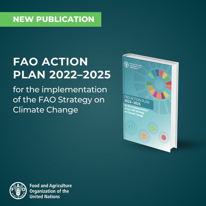 Agrifood systems are climate solutions. Read the new Action Plan guiding countries & stakeholders, ensuring that @FAO's Strategy on Climate Change helps to effectively tackle the #ClimateCrisis. 👉 bit.ly/4cEcbvZ #INARC8
