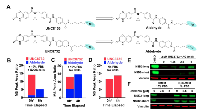 Interesting discovery of a FBXO22 glue, which is in line with the previous report (biorxiv.org/content/10.110…) where the primary amine is metabolized to an aldehyde. This then engages in the covalent modification of surface cysteine residues in FBXO22. Probably a similar MoA.