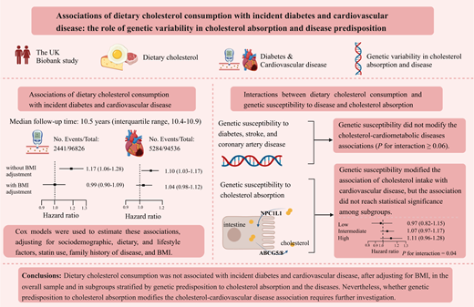 Dietary cholesterol was not linked to diabetes and cardiovascular disease after adjusting for BMI, overall and in subgroups stratified by genetic susceptibility to cholesterol absorption and disease. @ADA_Pubs Read Here➡️doi.org/10.2337/dc23-2…