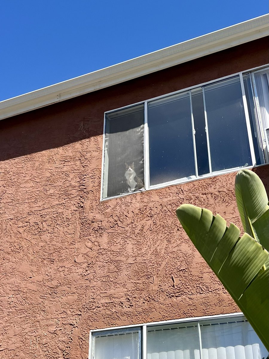 Steven Ray Morris tweet media