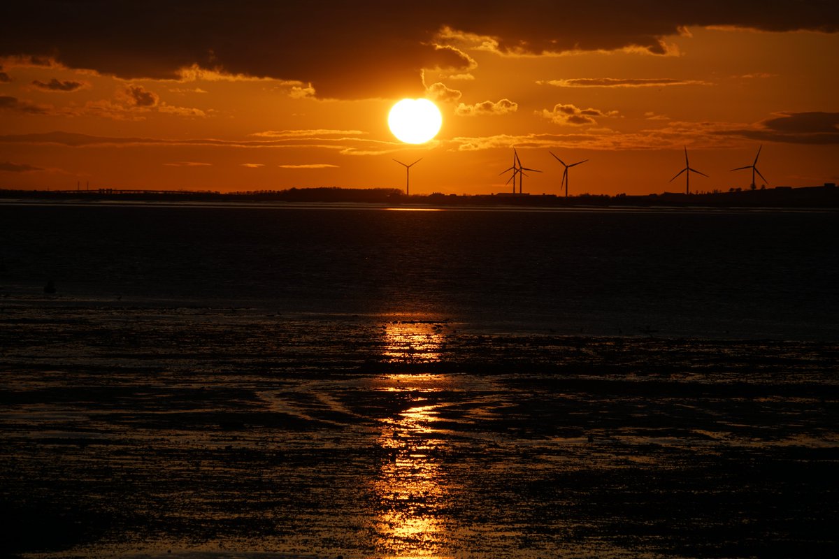 whitstable #sunset