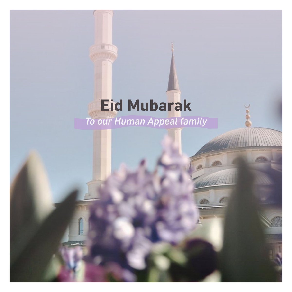 Taqabbal Allahu minna wa minkum ✨ Eid Mubarak to our entire Human Appeal family 💜 May Allah swt accept all the good deeds you did during this month and reward you for all the mercy you have shown to the Ummah 🤲🏼 ✨