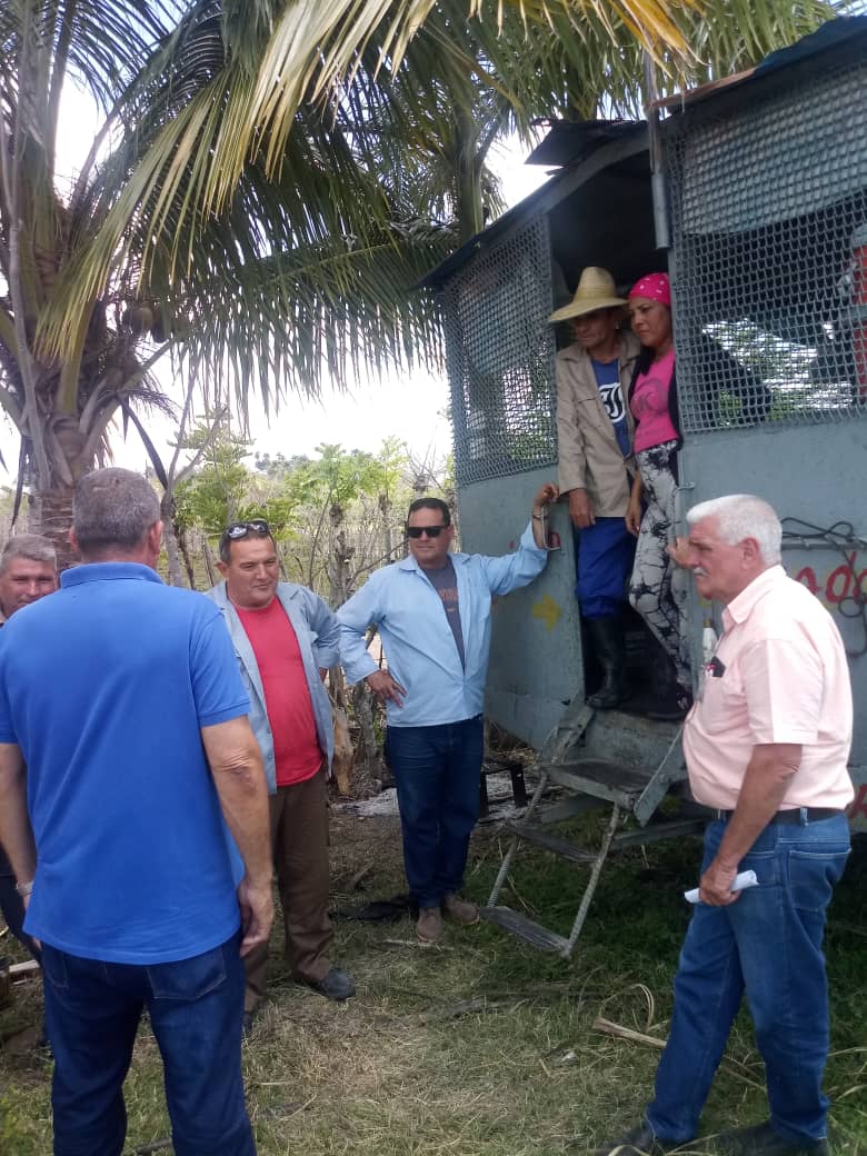 🇨🇺 Desde la UBPC de Guayos intercambiamos con el pelotón 6 que ya cumplió hoy su plan del día más de 100 toneladas y continúa aportando. #SanctiSpíritus sigue la marcha con el compromiso del cumplimiento diario. #GenteQueSuma