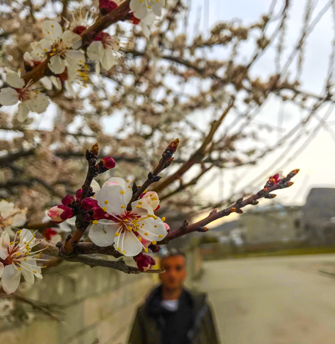 Bihar hat bi xweşika tî ya xwe.