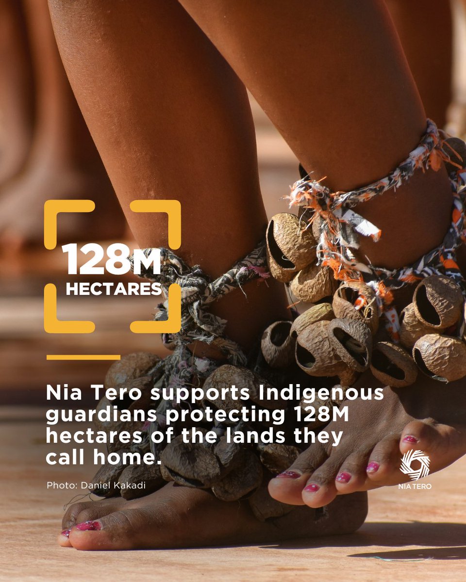 When Indigenous Peoples have the means to protect their lands and waters, Earth and all beings benefit. We forge transparent and just agreements w/Indigenous Peoples to ensure they can successfully defend and govern their territories, and manage their natural resources.